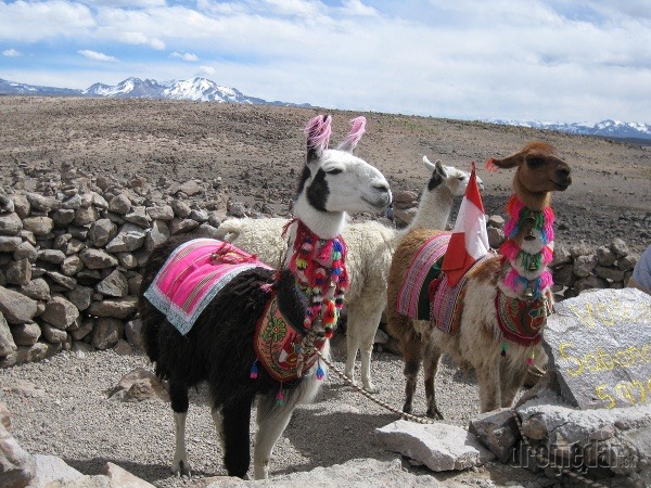Peru