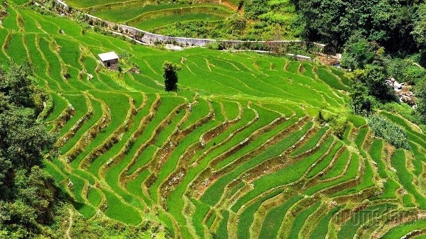Oblasť Yunnan, Čína