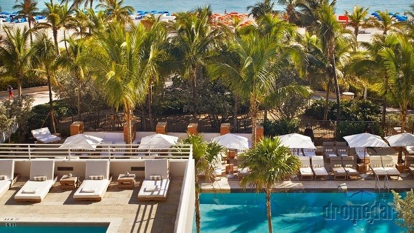James Royal Palm, Miami