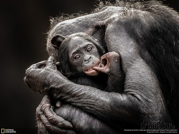 Fotosúťaž National Geographic Traveler 2013