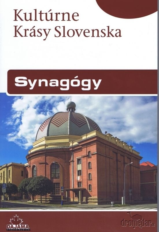 kniha Synagógy
