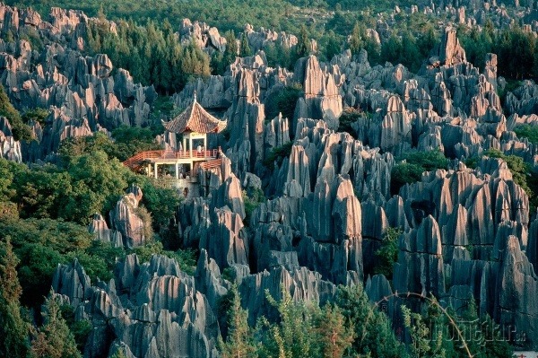 Kamenný les, Yunnan, Čína