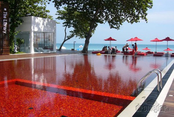 Krvavo-červený bazén Library, Koh