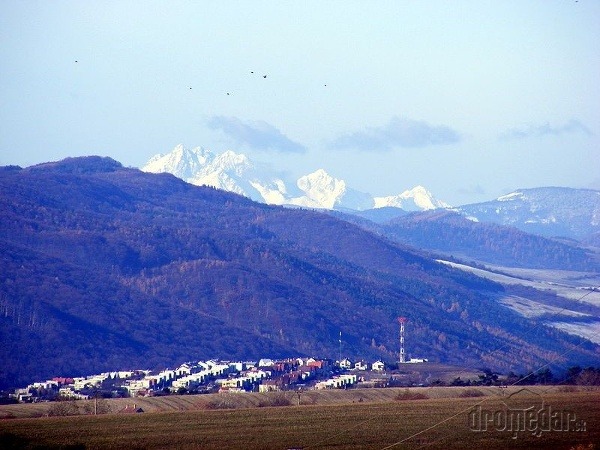 Bachureň
