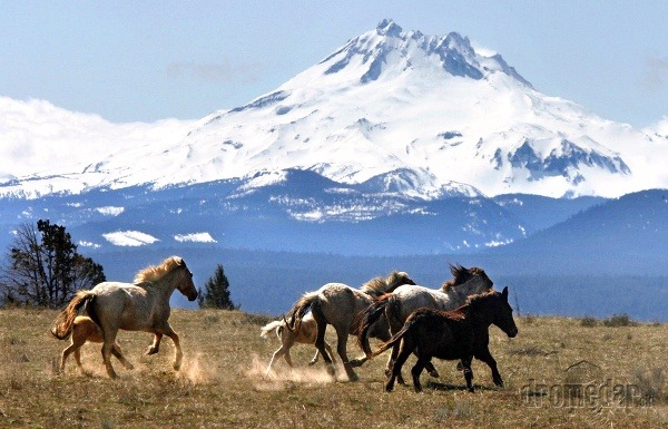 Yukon, Kanada