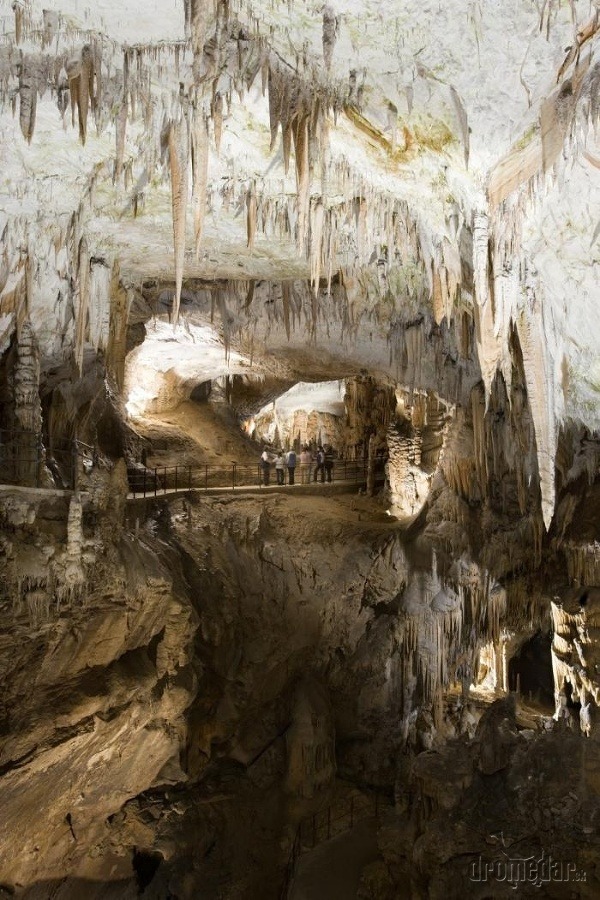 Postojnska jama, Slovinsko