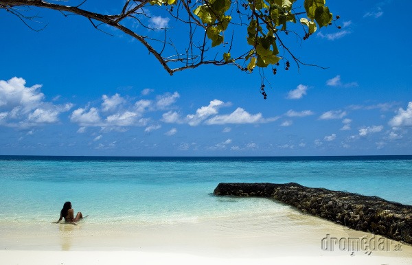 Maldivy