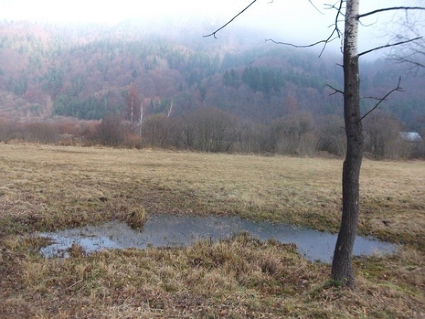 Rojkovské rašelinisko, Slovensko