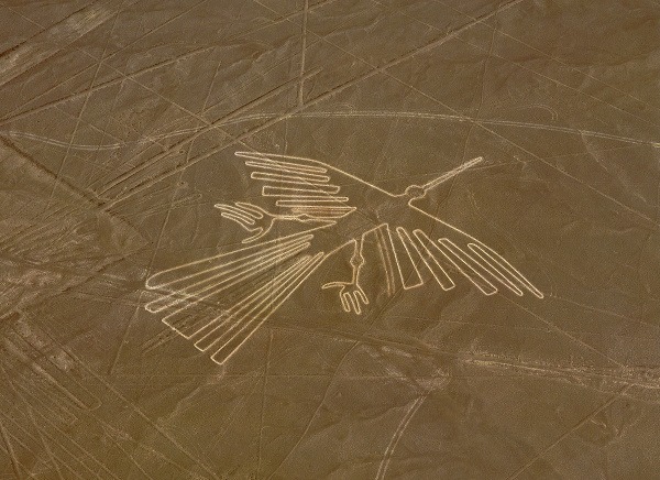Kondor, Planina Nazca, Peru
