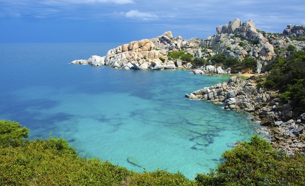 Alghero, Sardína
