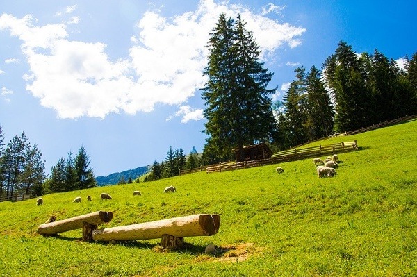 Čutkovská dolina, Slovensko