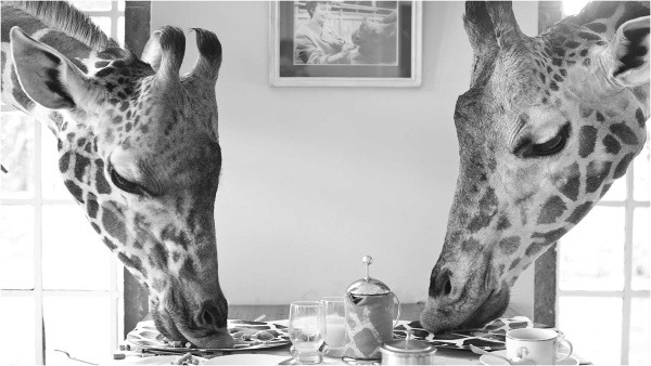 Hotel GiraffeManor, Keňa
