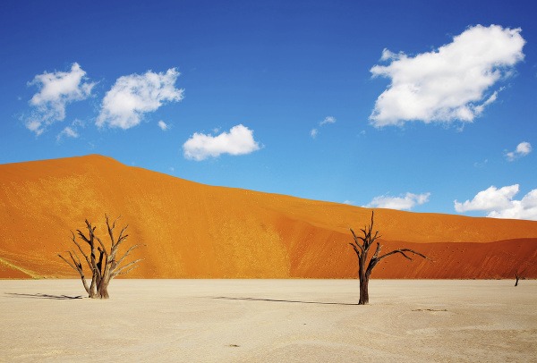 © Thinkstock