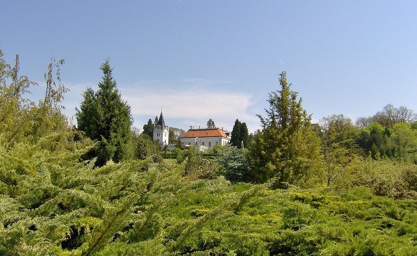 Arborétum Mlyňany, Vieska nad