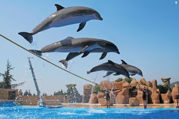 Vodný park Marineland, Barcelona, Španielsko