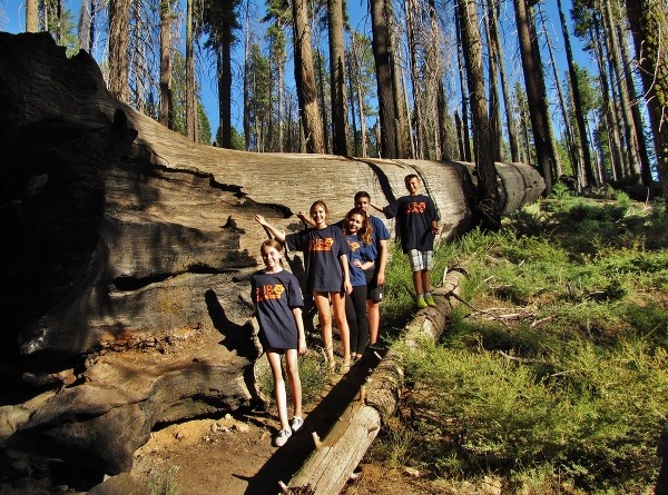 Yosemity, BUBO Family