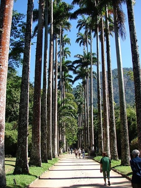 Botanická záhrada v Rio