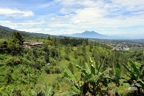 Sopka Bogor, Jáva