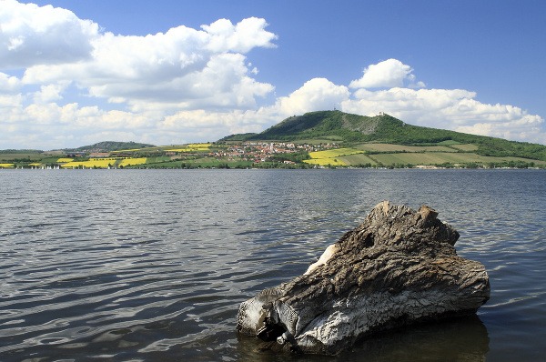 Pálava, Česká republika