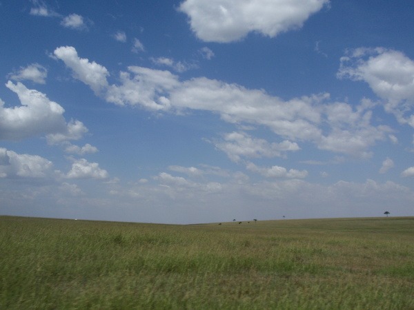 Národný park Masai Mara,
