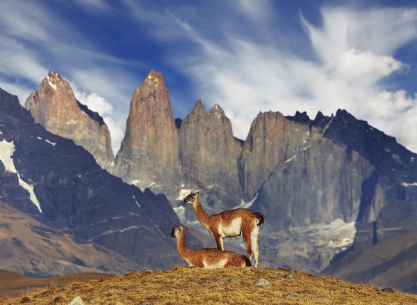Torres del Paine, Patagónia, Čile