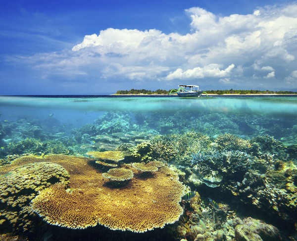 Ostrov Gili Meno, Indonézia