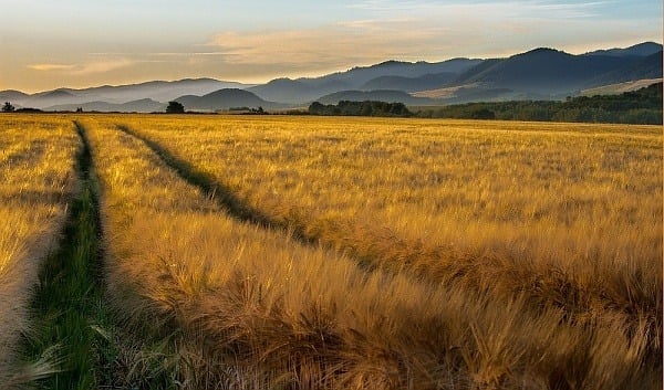 Najkrajšie FOTO Prešovského kraja za rok 2016