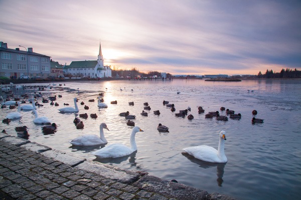 Islandský Reykjavík: Malé mesto s veľkou dušou