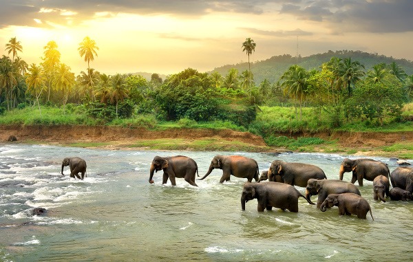Srí Lanka