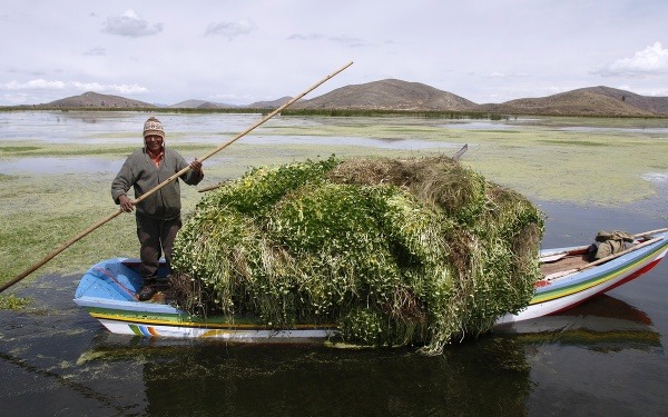 Jazero Titicaca pripomína smetisko