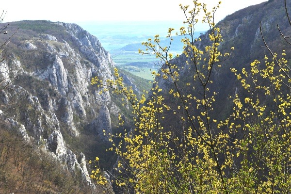 Zádielska tiesňava, Slovenský kras