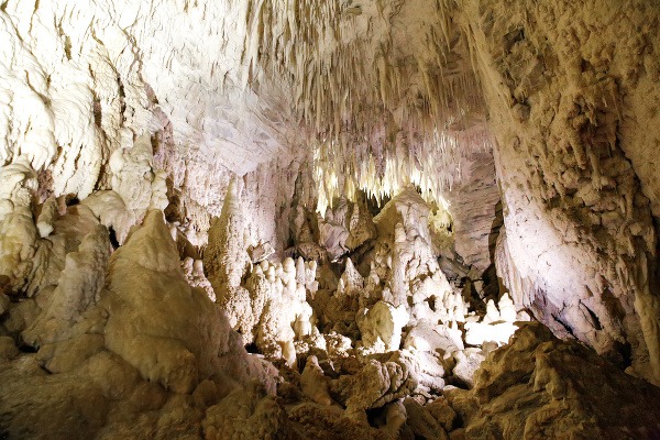 Jaskyňa svietiacich červov Waitomo,