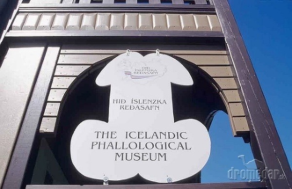 Islandské falologické múzeum