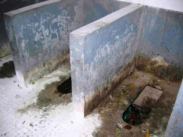 Toalety v Tonghue. Foto: