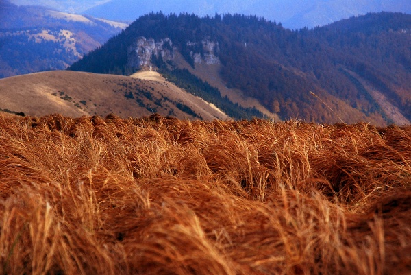 Veľká Fatra