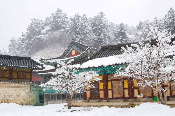 Chrám Woljeongsa, Južná Kórea