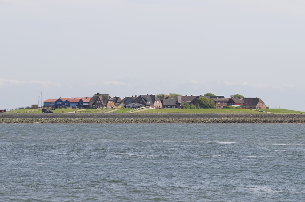 Hallig Hooge