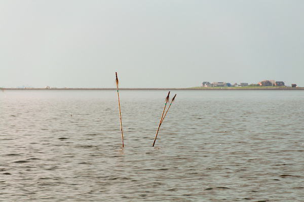 Hallig Hooge
