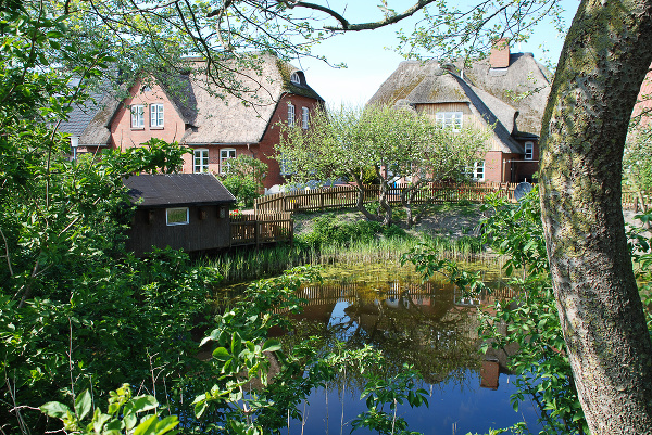 Hallig Hooge