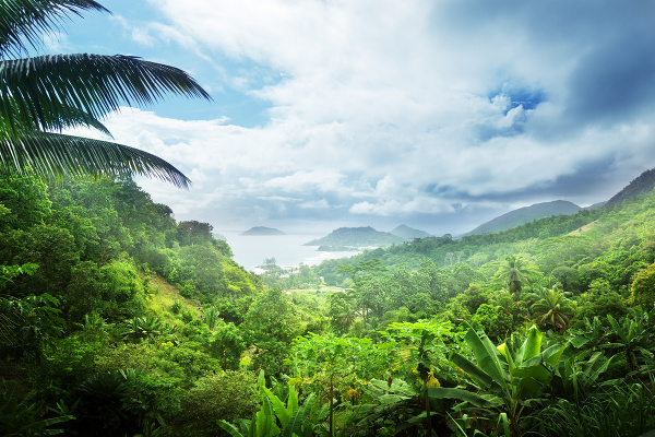 Seychelly