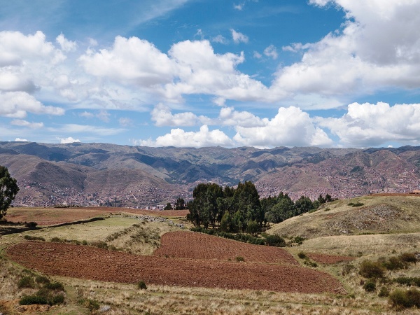 Peru dalo svetu zemiaky,
