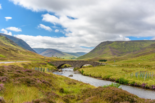 Národný park Cairngorms, Škótska