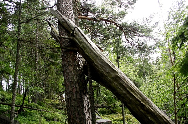 Obrí hrad – jedno