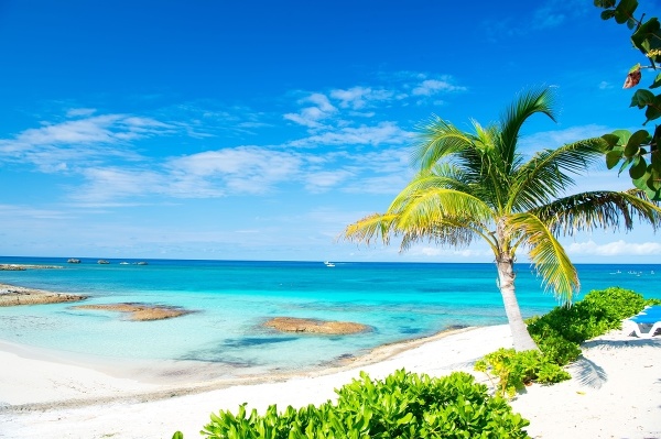 Ostrov Ocean Bay –