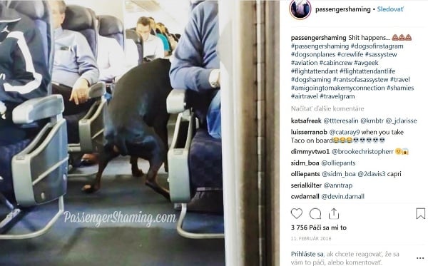 Najzábavnejšie fotografie z lietadla