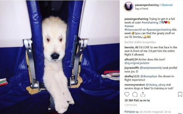 Najzábavnejšie fotografie z lietadla