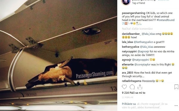 Najzábavnejšie fotografie z lietadla