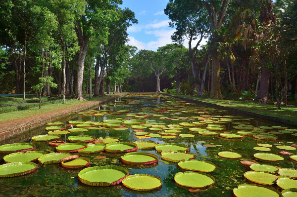 © Mauritius Tourism / LY Hoang Long