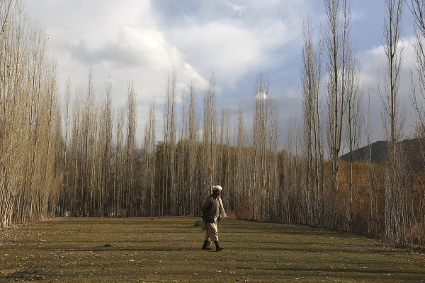 Afganský farmár vo svojej