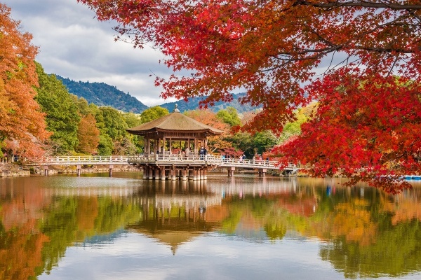 Nara – kultúrne a